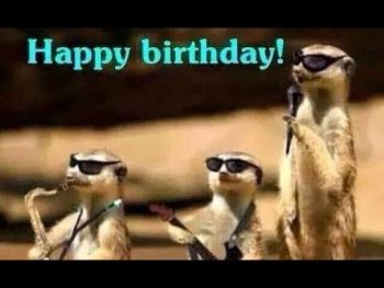 Buon compleanno, Blues!